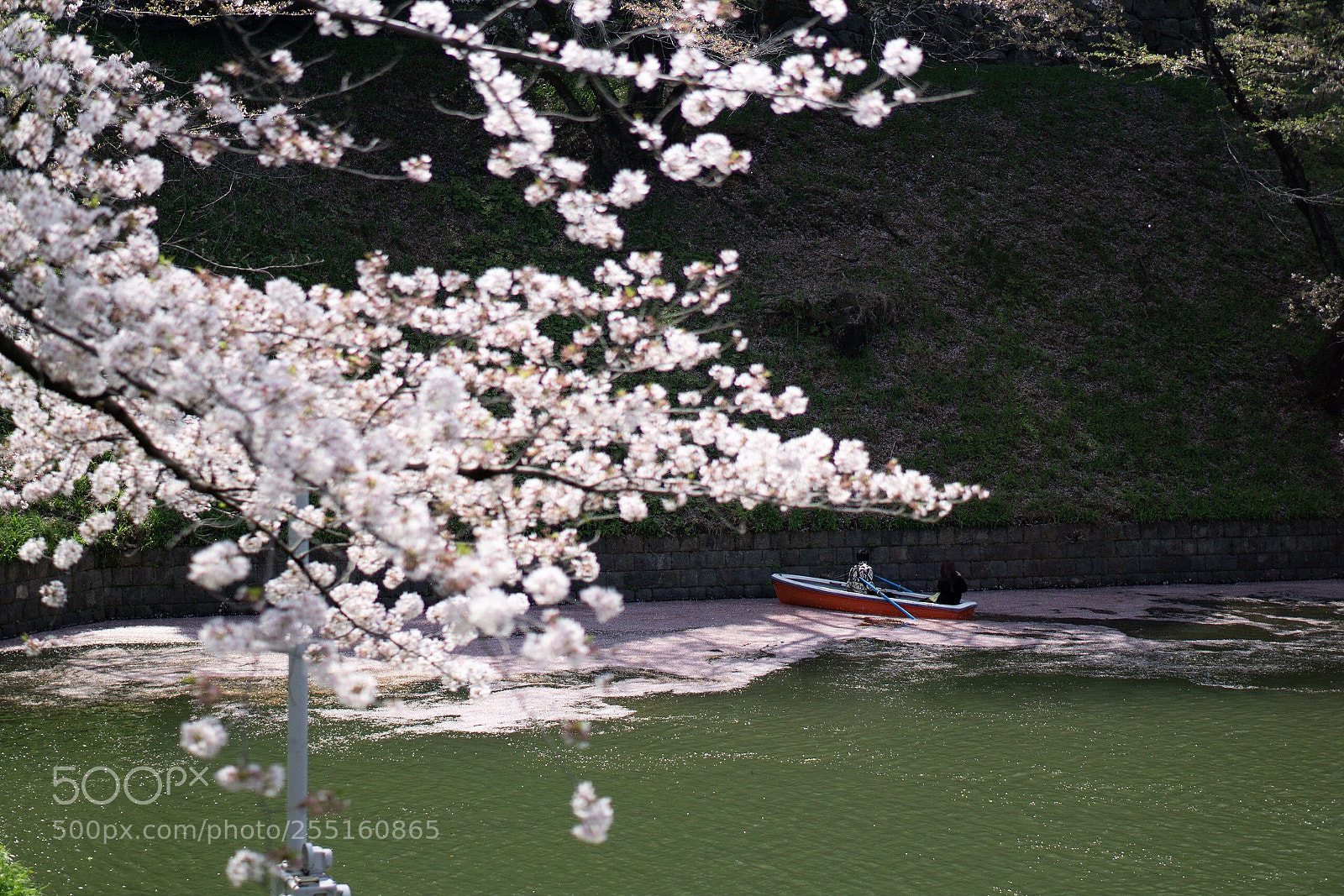 Sony a6000 sample photo. Focus→japan  photography