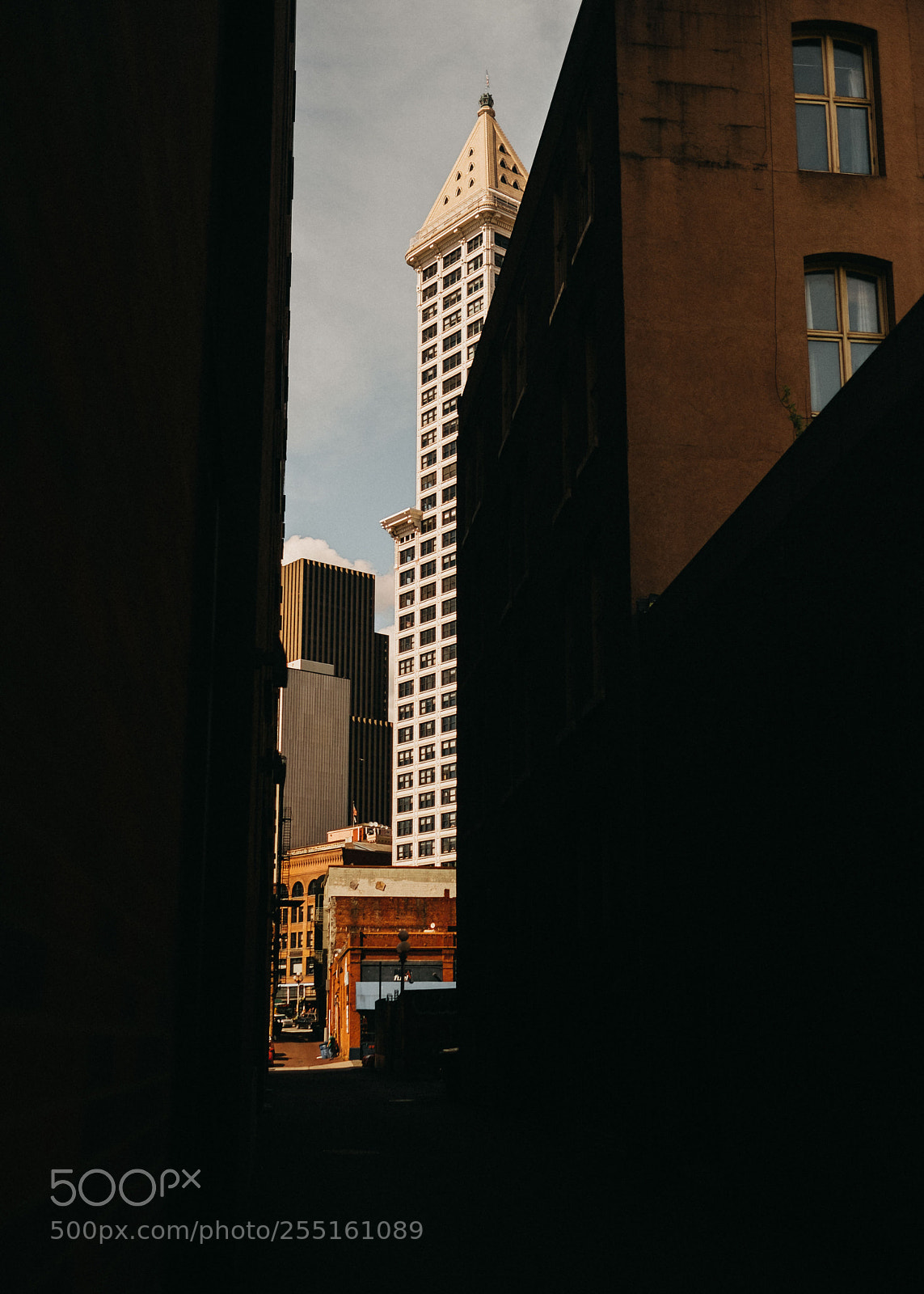 Fujifilm X-Pro2 sample photo. 20170429.jpg photography