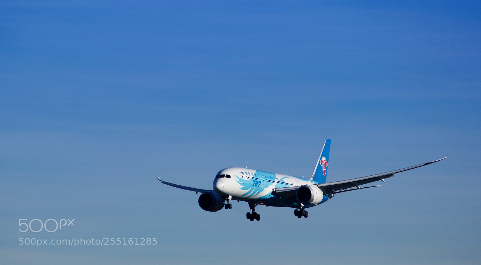 Canon EOS 600D (Rebel EOS T3i / EOS Kiss X5) sample photo. China southern b787 photography