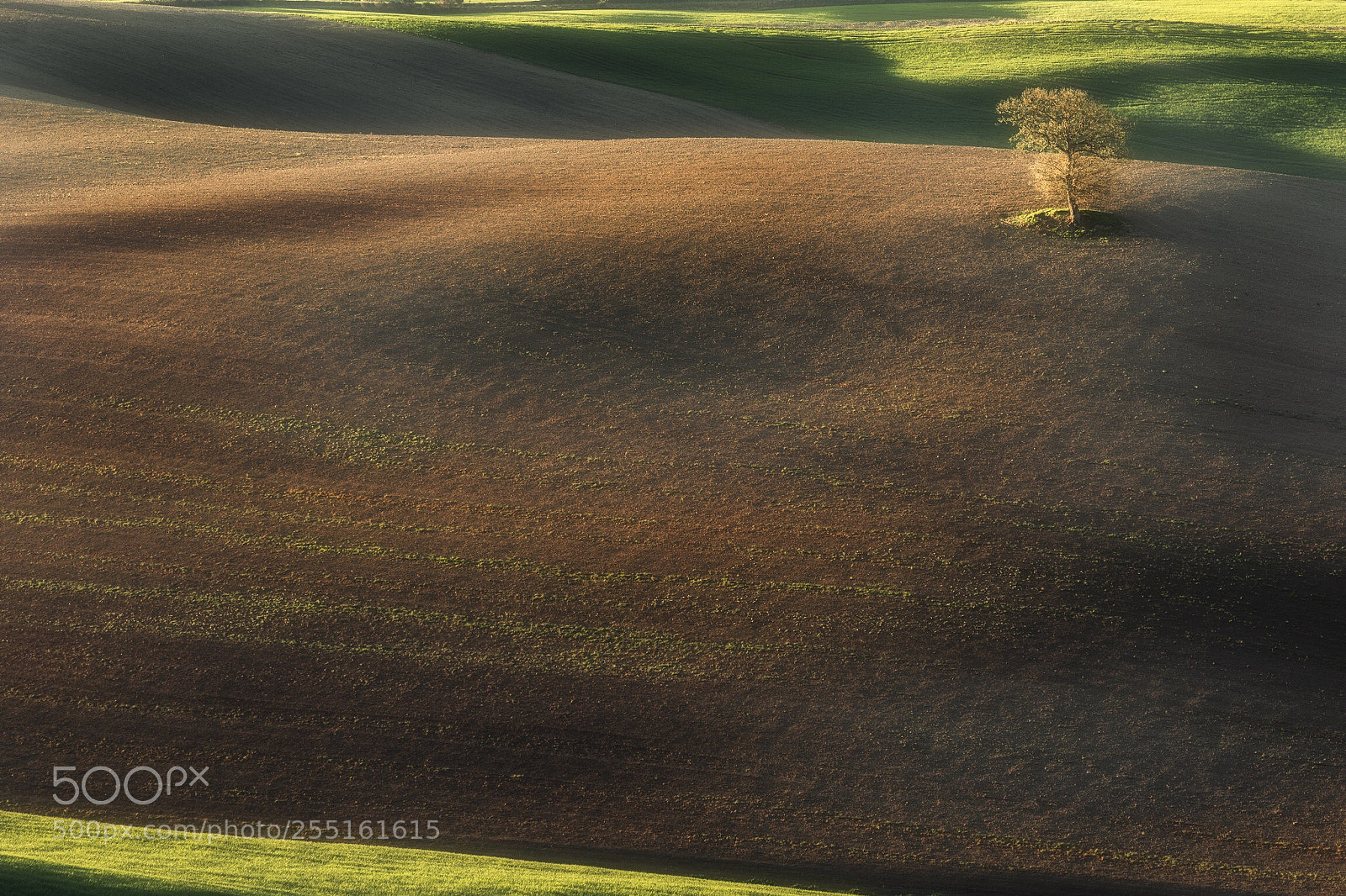 Canon EOS-1D X Mark II sample photo. Val d’orcia  photography