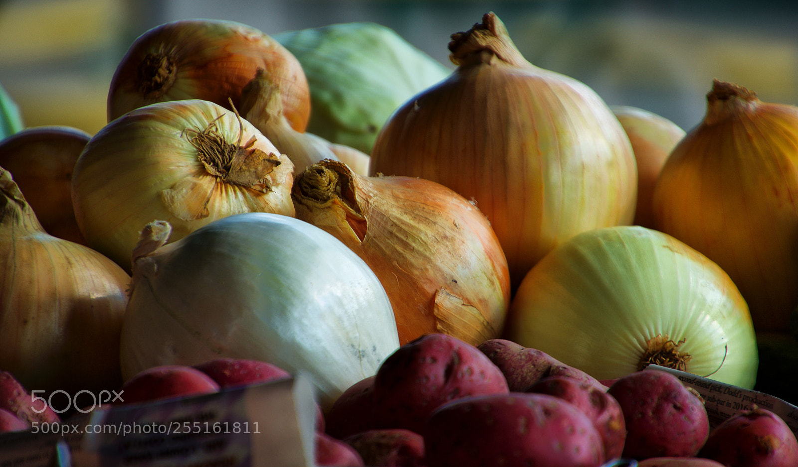 Nikon D7200 sample photo. Tennessee vegetables photography