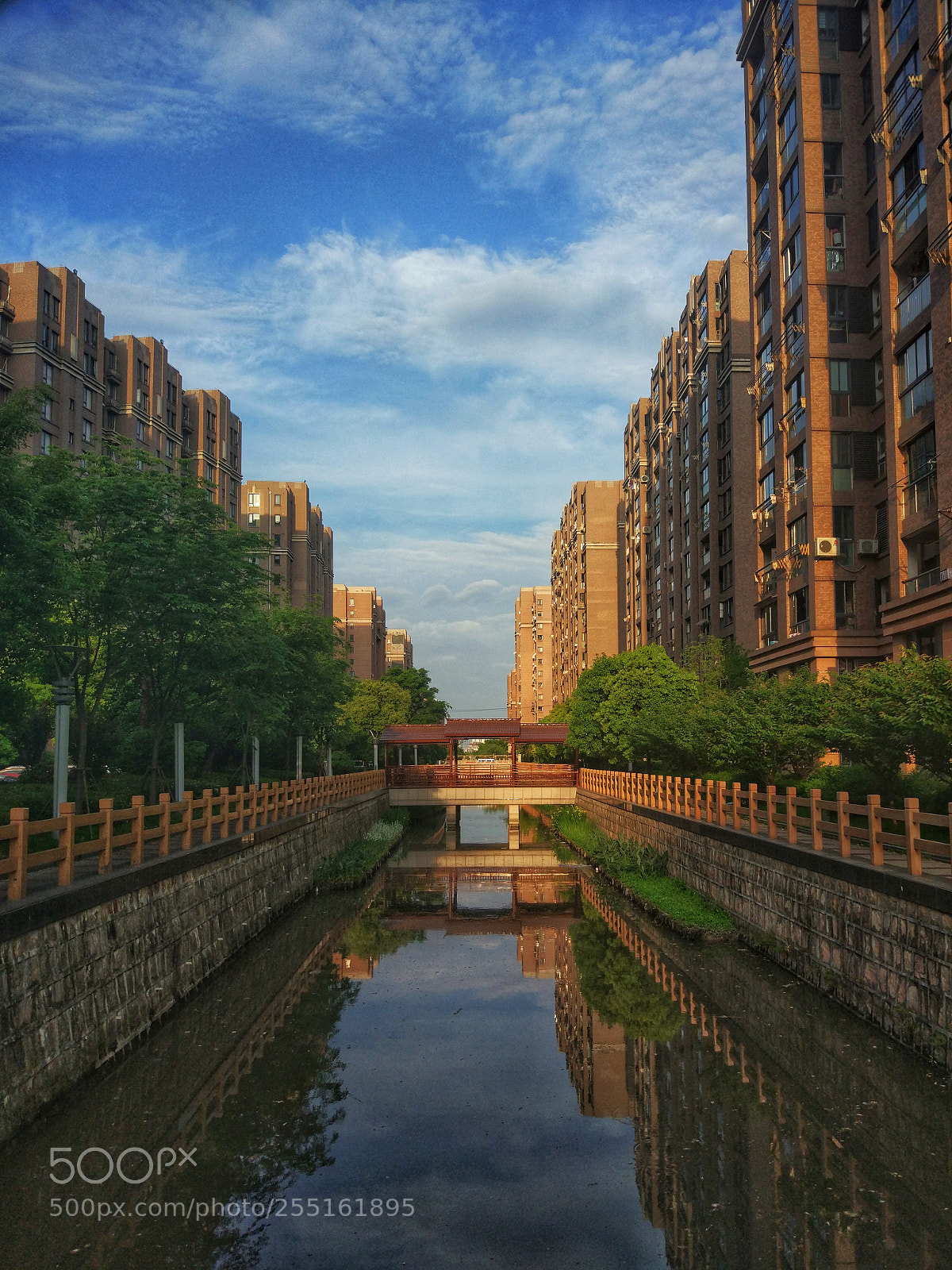 Xiaomi MI 5 sample photo. Morning photography