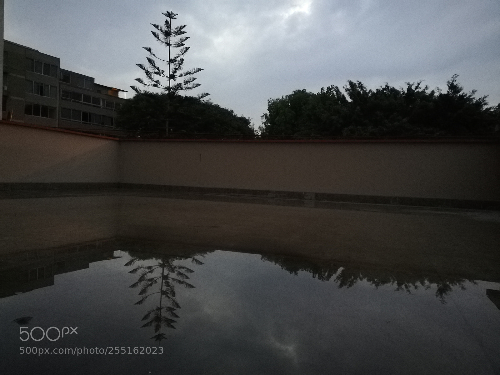 HUAWEI Mate 10 Lite sample photo. Untitled photography