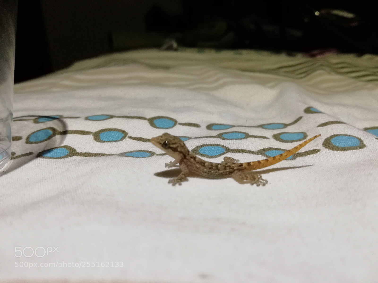 HUAWEI Mate 10 Lite sample photo. Untitled photography