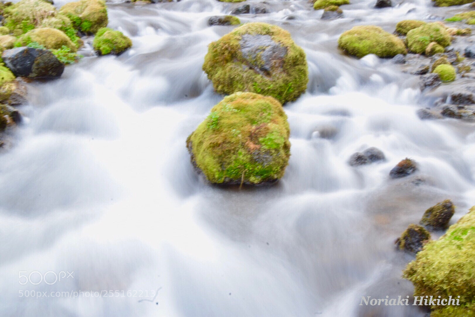 Nikon D5300 sample photo. Clear current of spring photography