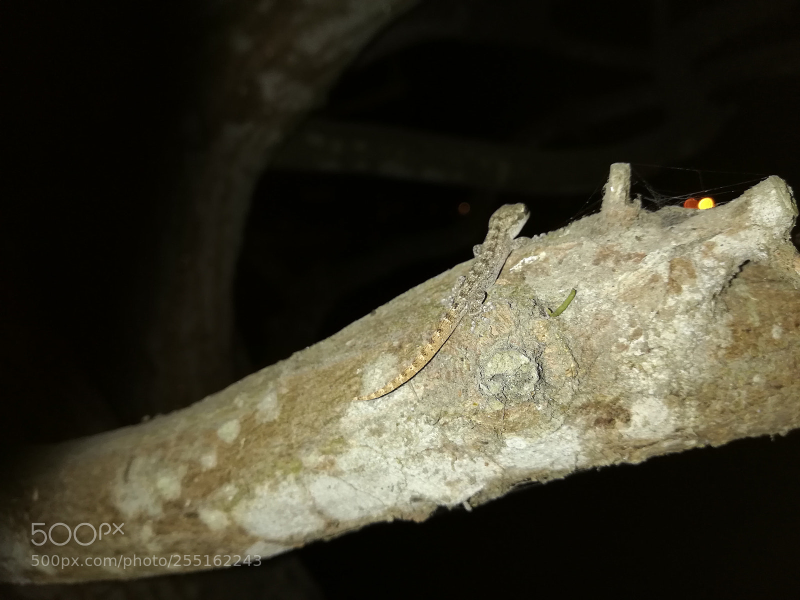 HUAWEI Mate 10 Lite sample photo. Untitled photography