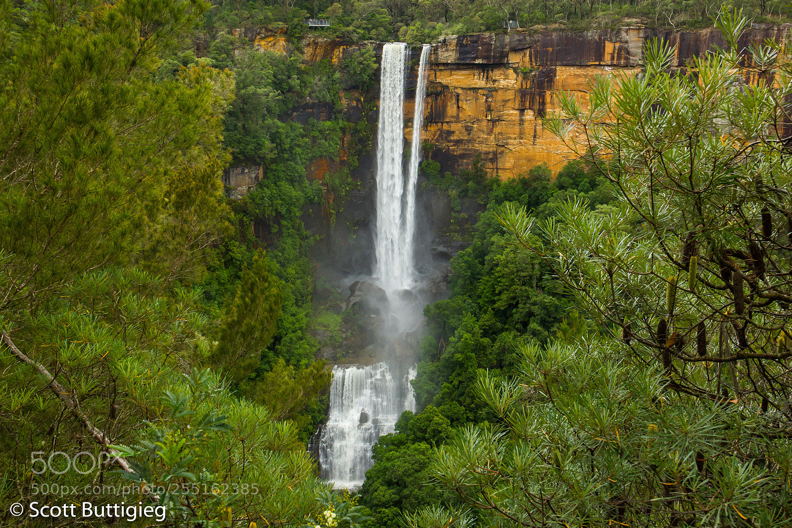 Canon EOS 550D (EOS Rebel T2i / EOS Kiss X4) sample photo. Fitzroy falls photography