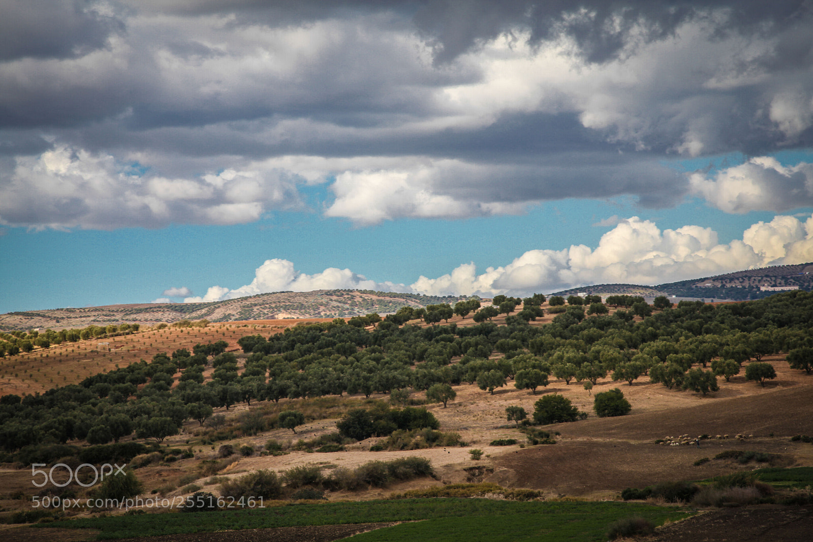Canon EOS 5D Mark II sample photo. Landscapes - moroccan nature photography