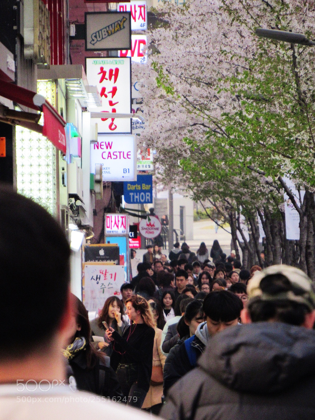 Canon PowerShot SX530 HS sample photo. Busy streets of seoul photography