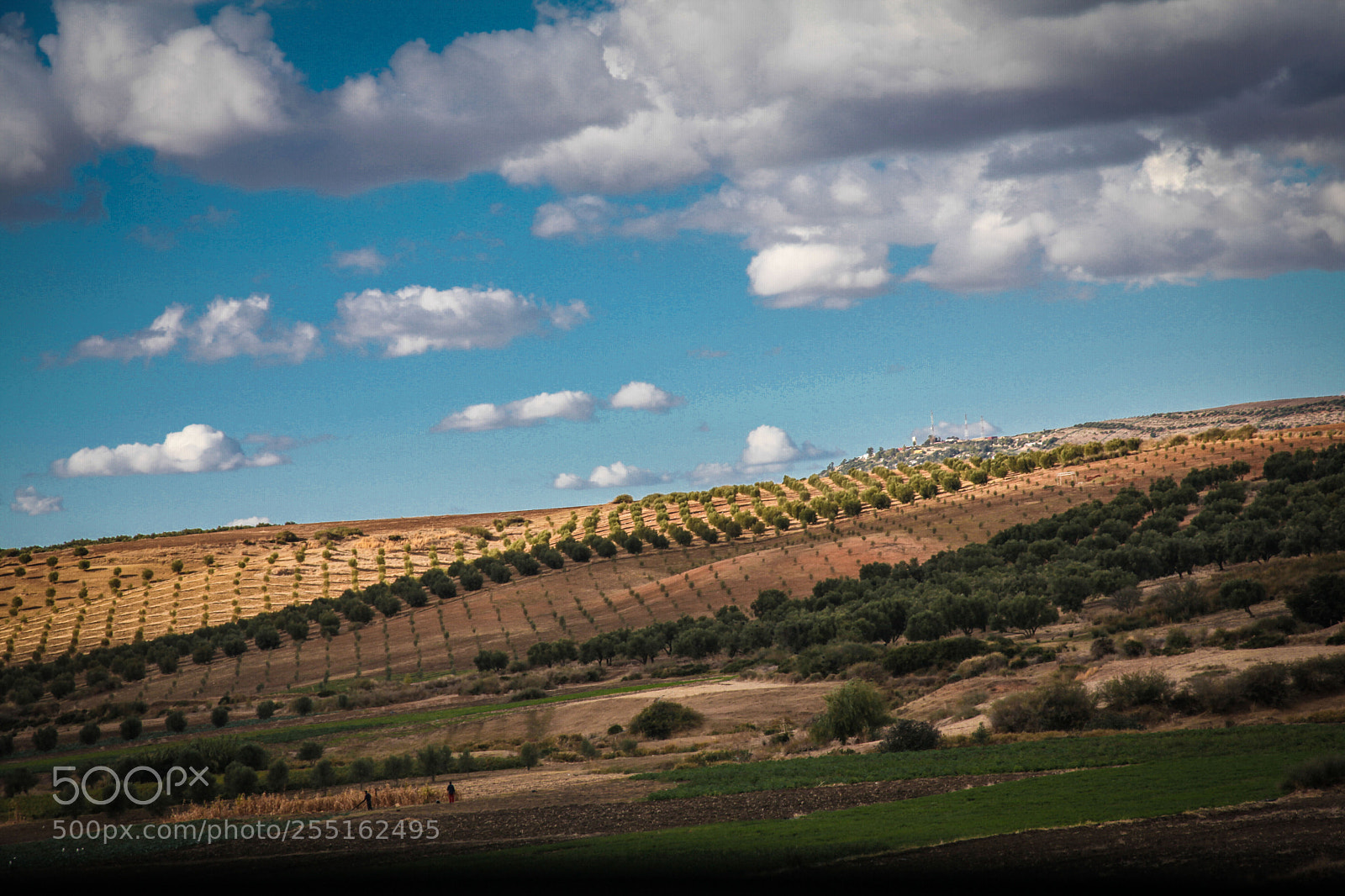 Canon EOS 5D Mark II sample photo. Landscapes - moroccan nature photography