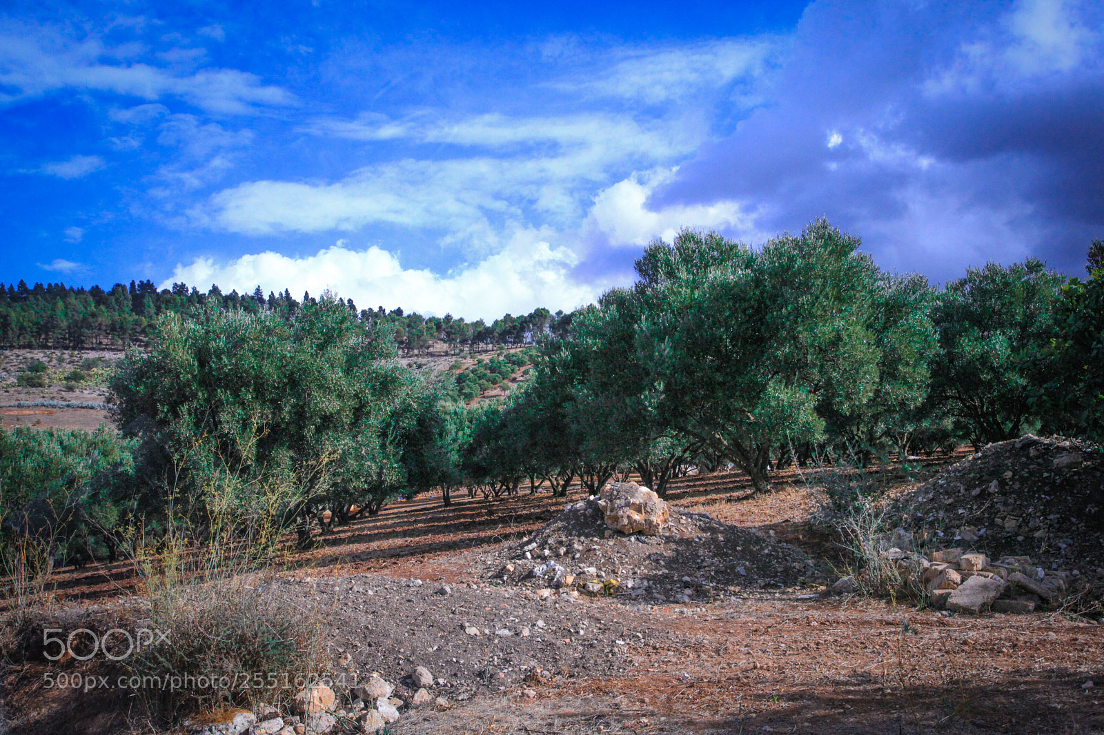 Canon EOS 5D Mark II sample photo. Landscapes - moroccan nature photography