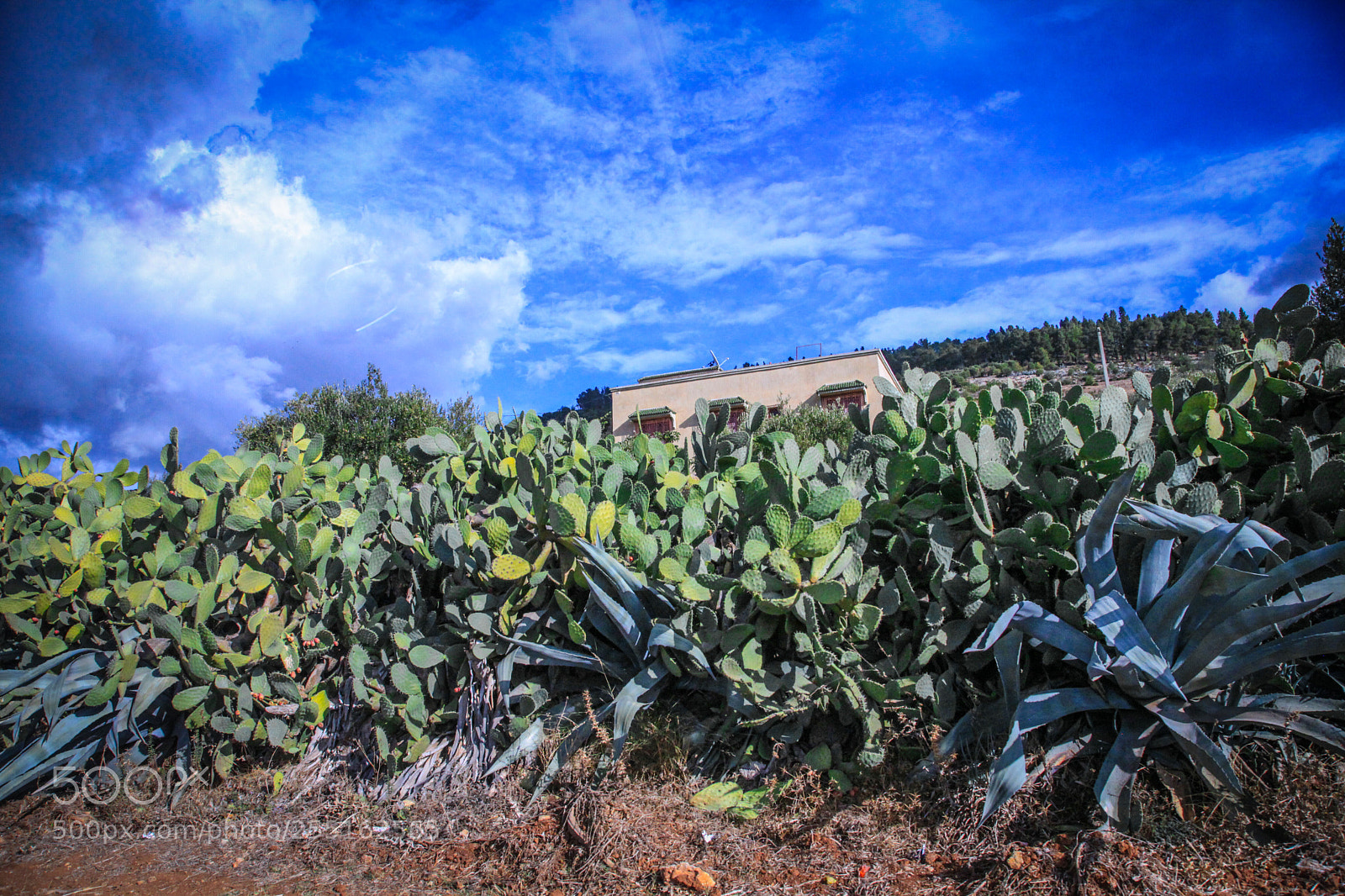 Canon EOS 5D Mark II sample photo. Landscapes - moroccan nature photography