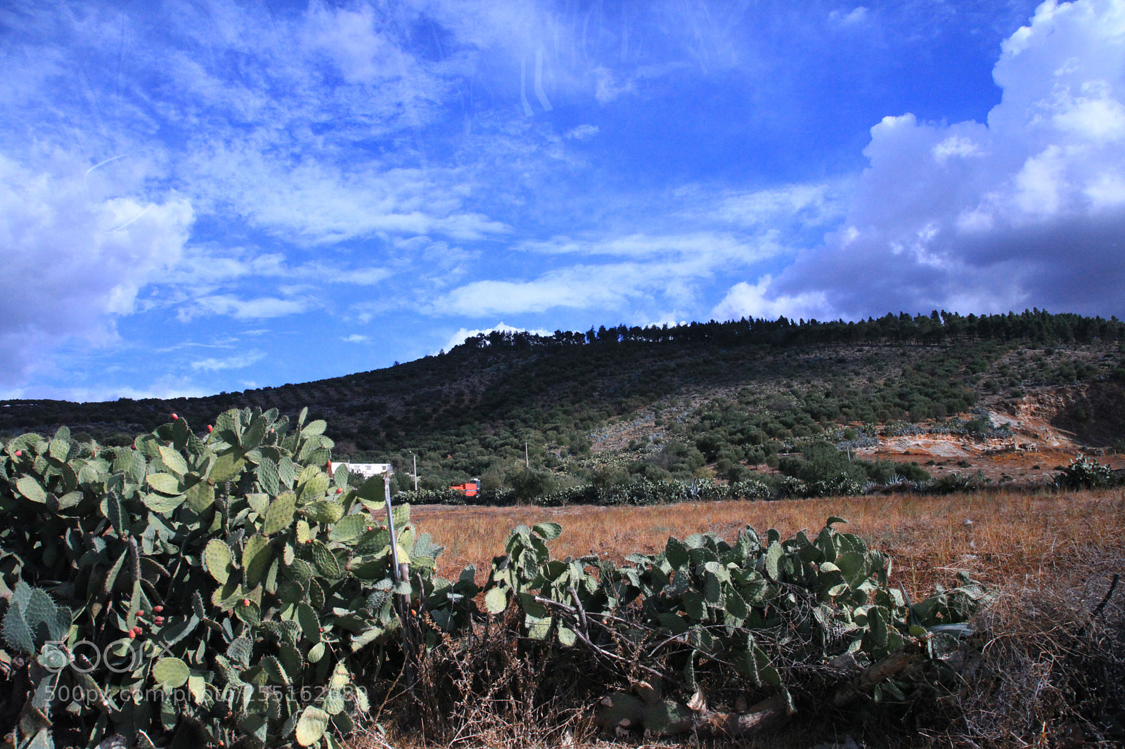 Canon EOS 5D Mark II sample photo. Landscapes - moroccan nature photography