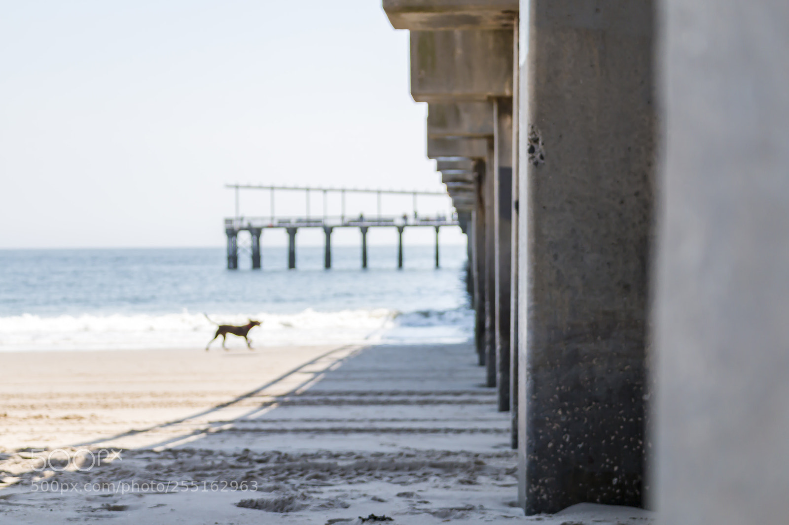 Canon EOS 70D sample photo. Coney island pier photography