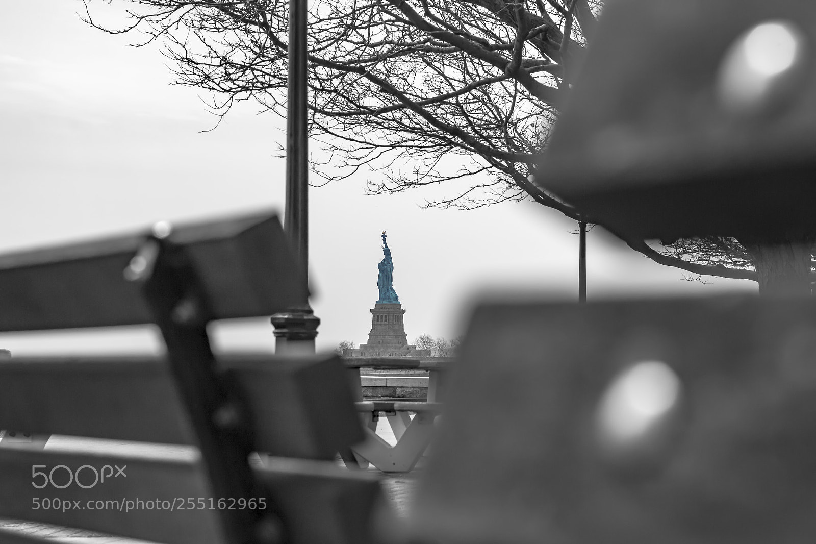 Canon EOS 70D sample photo. Lady liberty at focus photography
