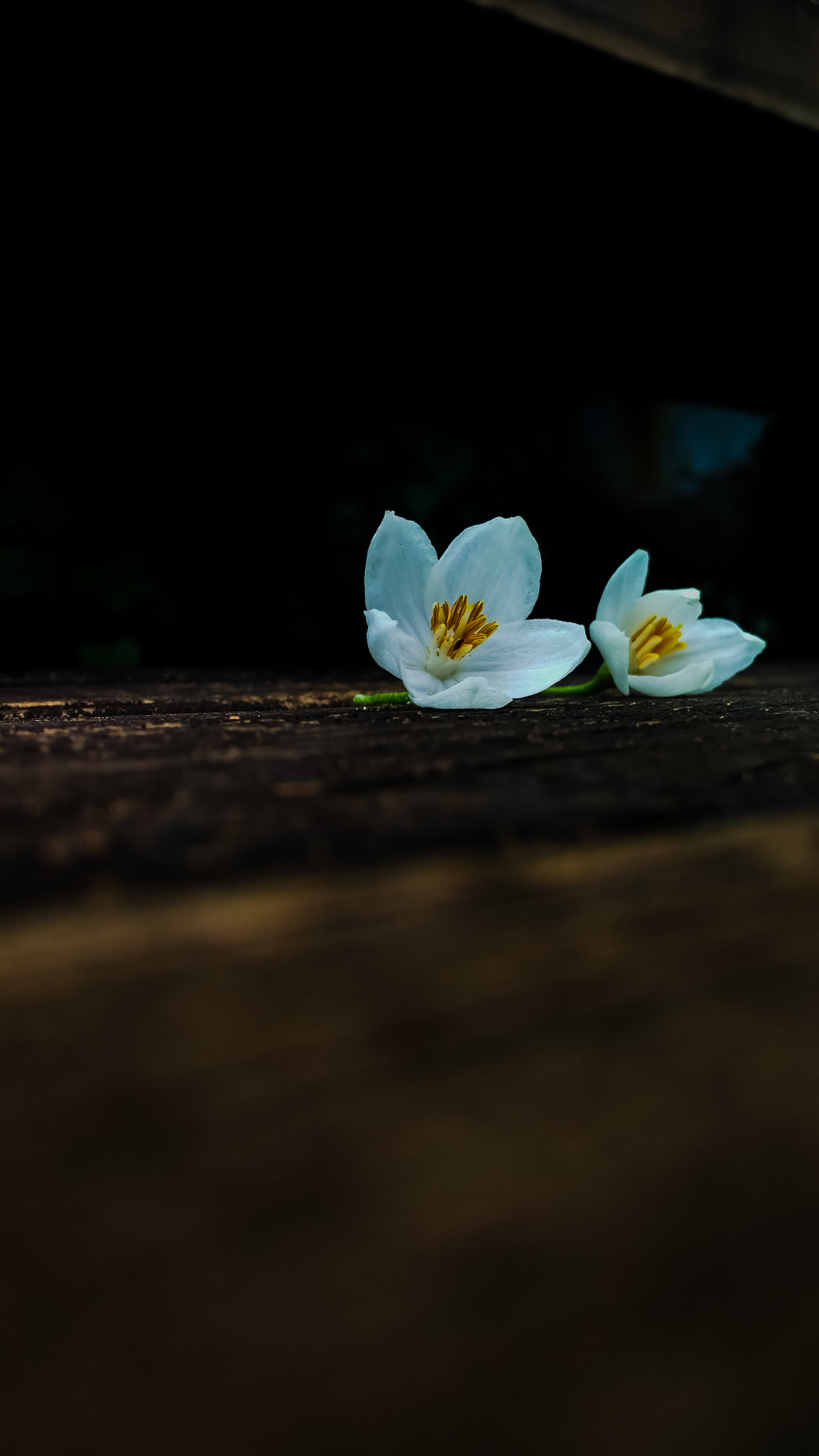 Xiaomi Mi-4c sample photo