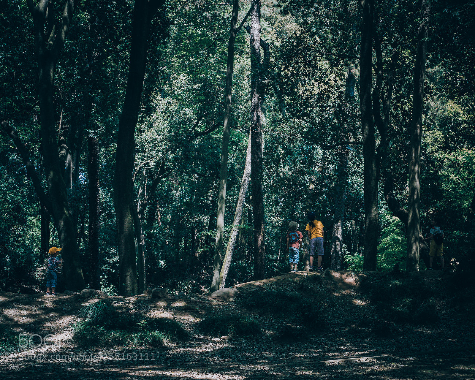 Sony a7R III sample photo. The children who explore photography