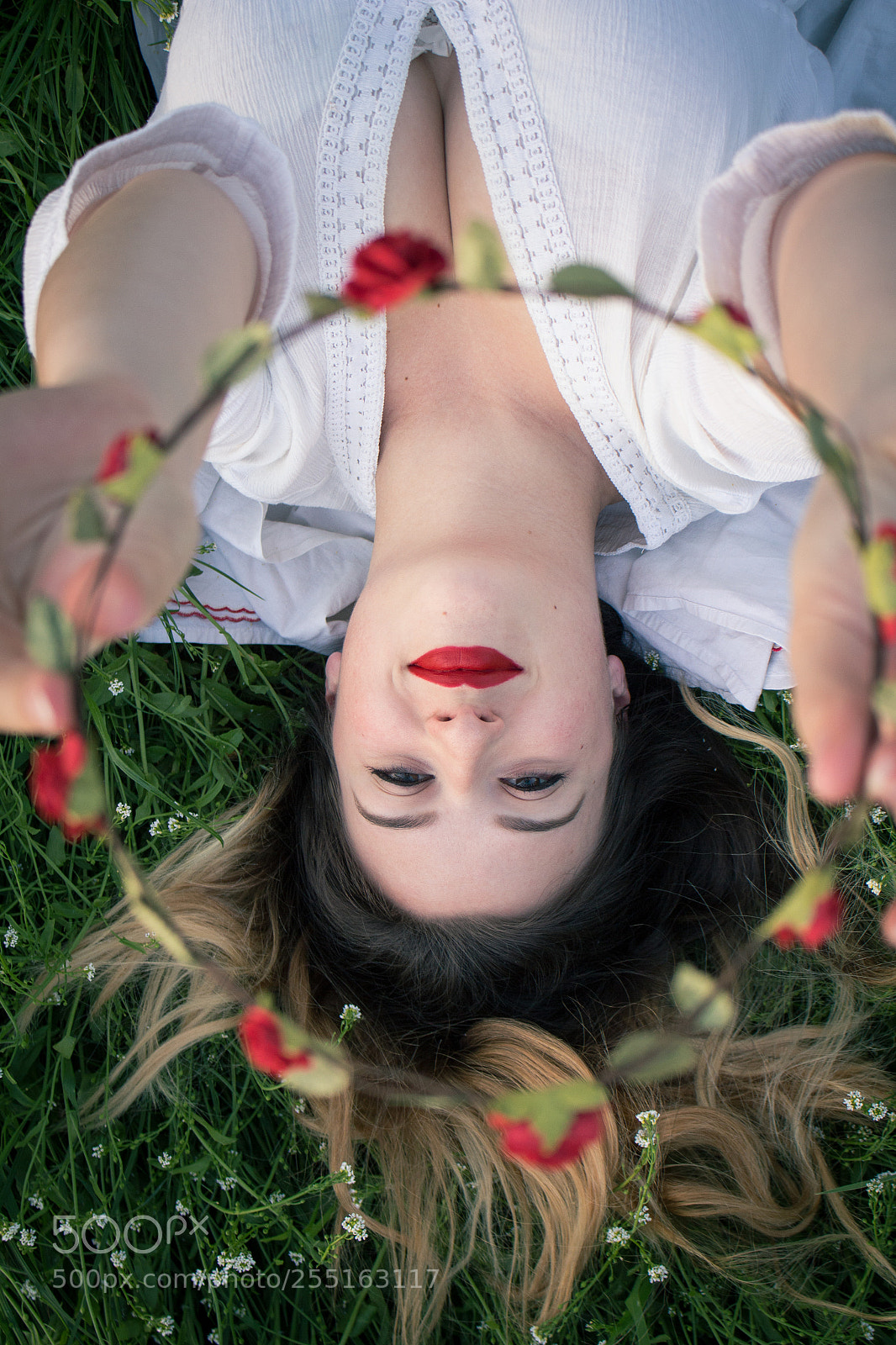 Canon EOS 700D (EOS Rebel T5i / EOS Kiss X7i) sample photo. The view from upside-down photography
