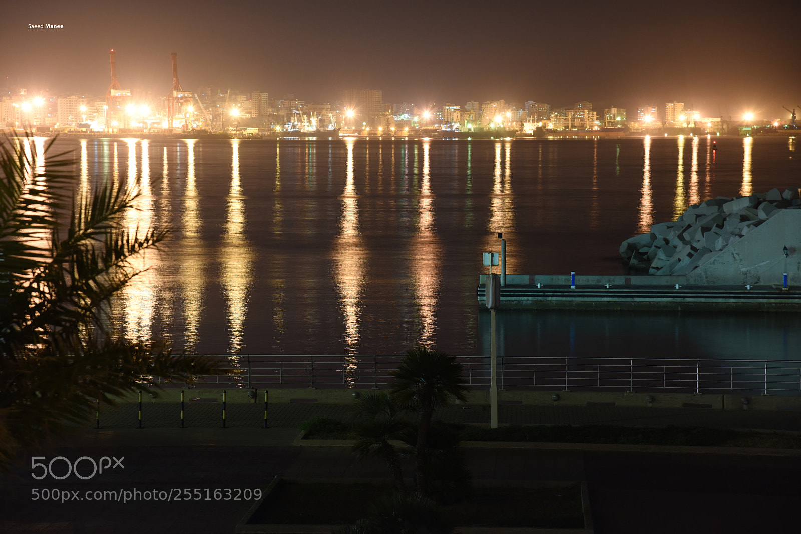 Nikon D810 sample photo. 11111.jpg photography