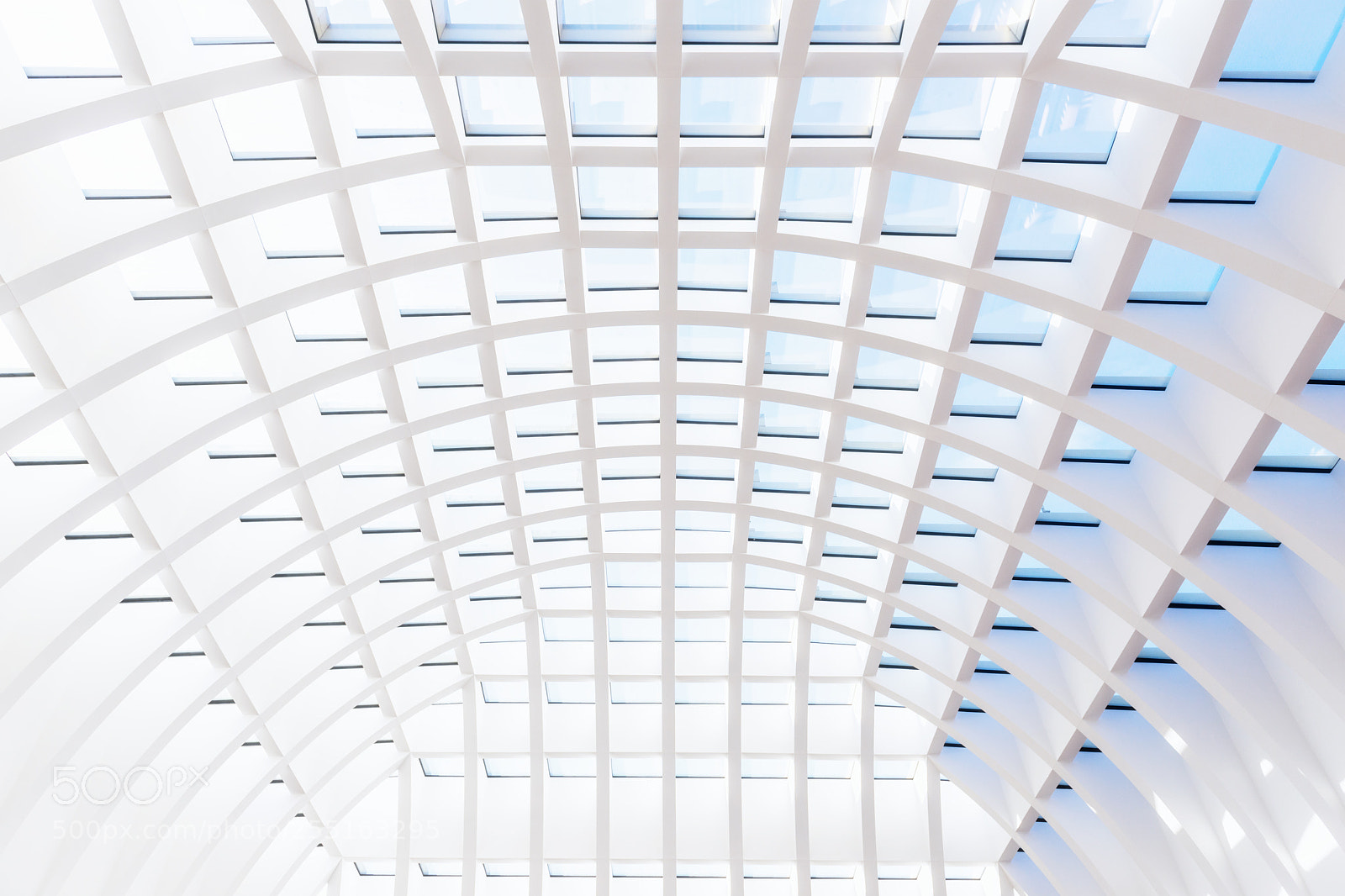Nikon D800 sample photo. Glass ceiling photography