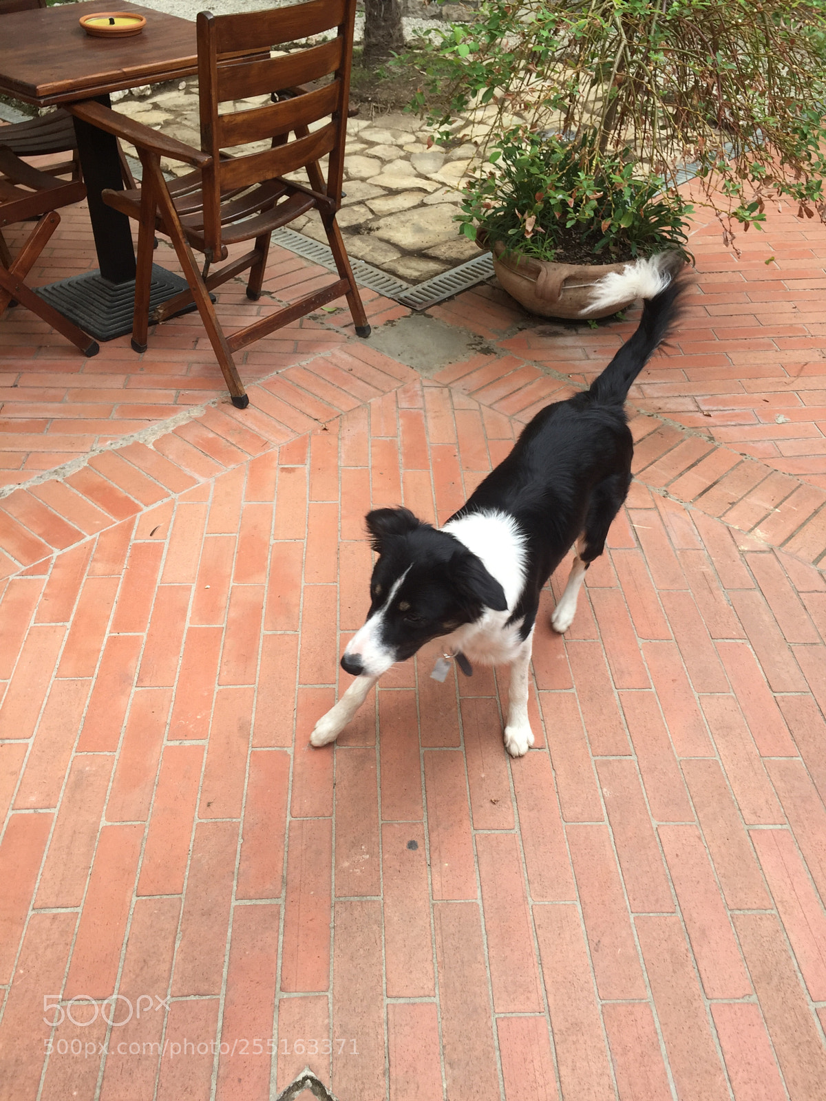 Apple iPhone 6 sample photo. Trip to umbria and photography
