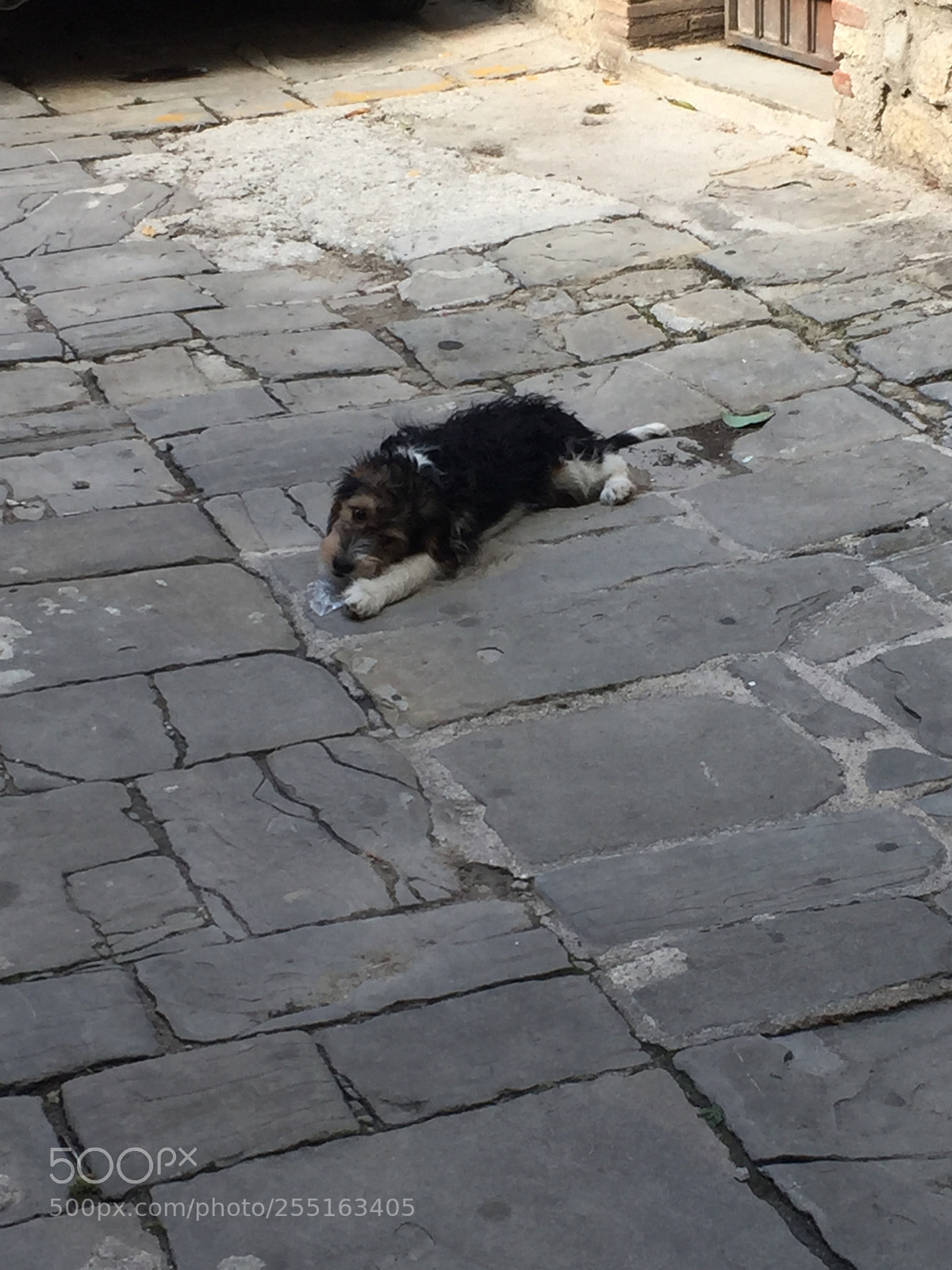 Apple iPhone 6 sample photo. Trip to umbria and photography