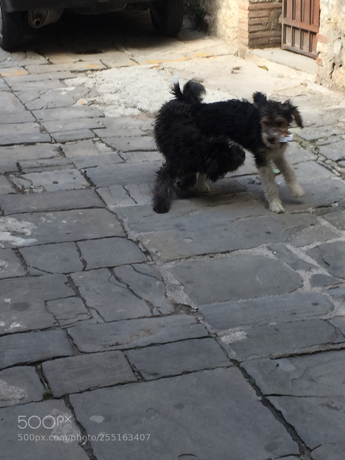 Apple iPhone 6 sample photo. Trip to umbria and photography