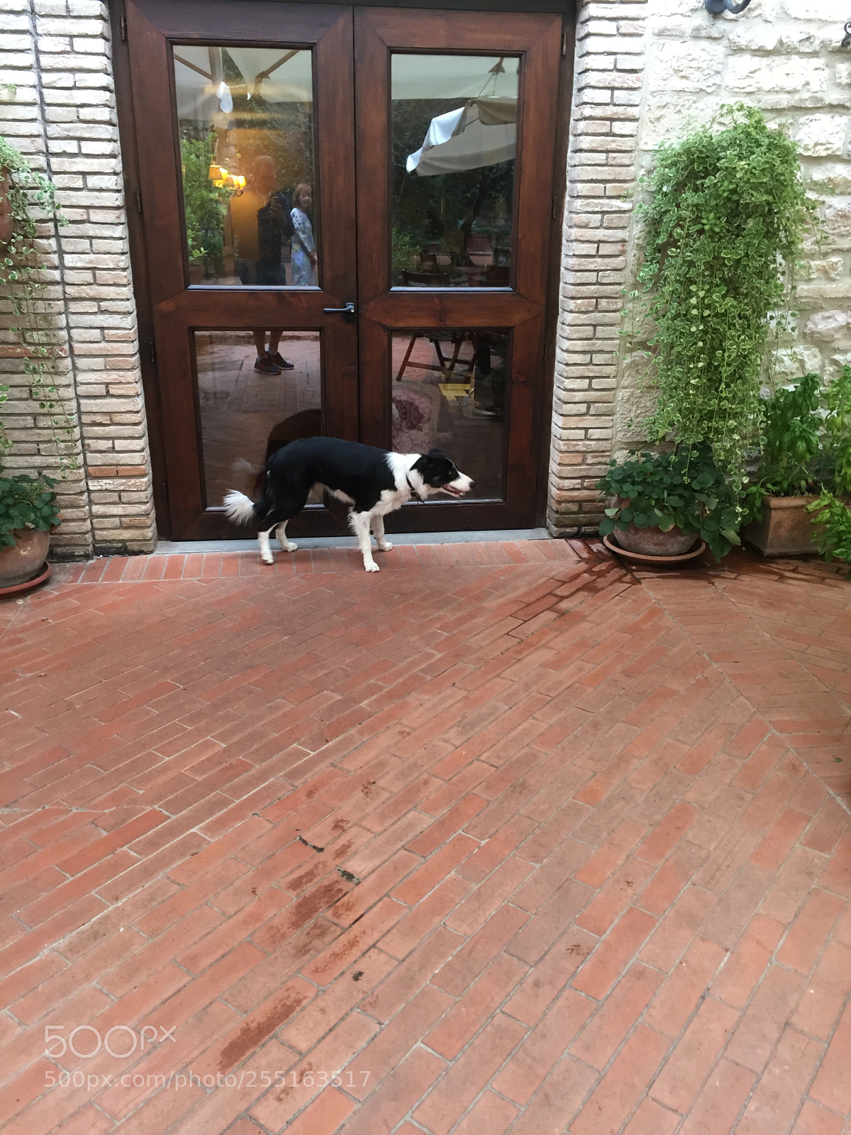 Apple iPhone 6 sample photo. Trip to umbria and photography