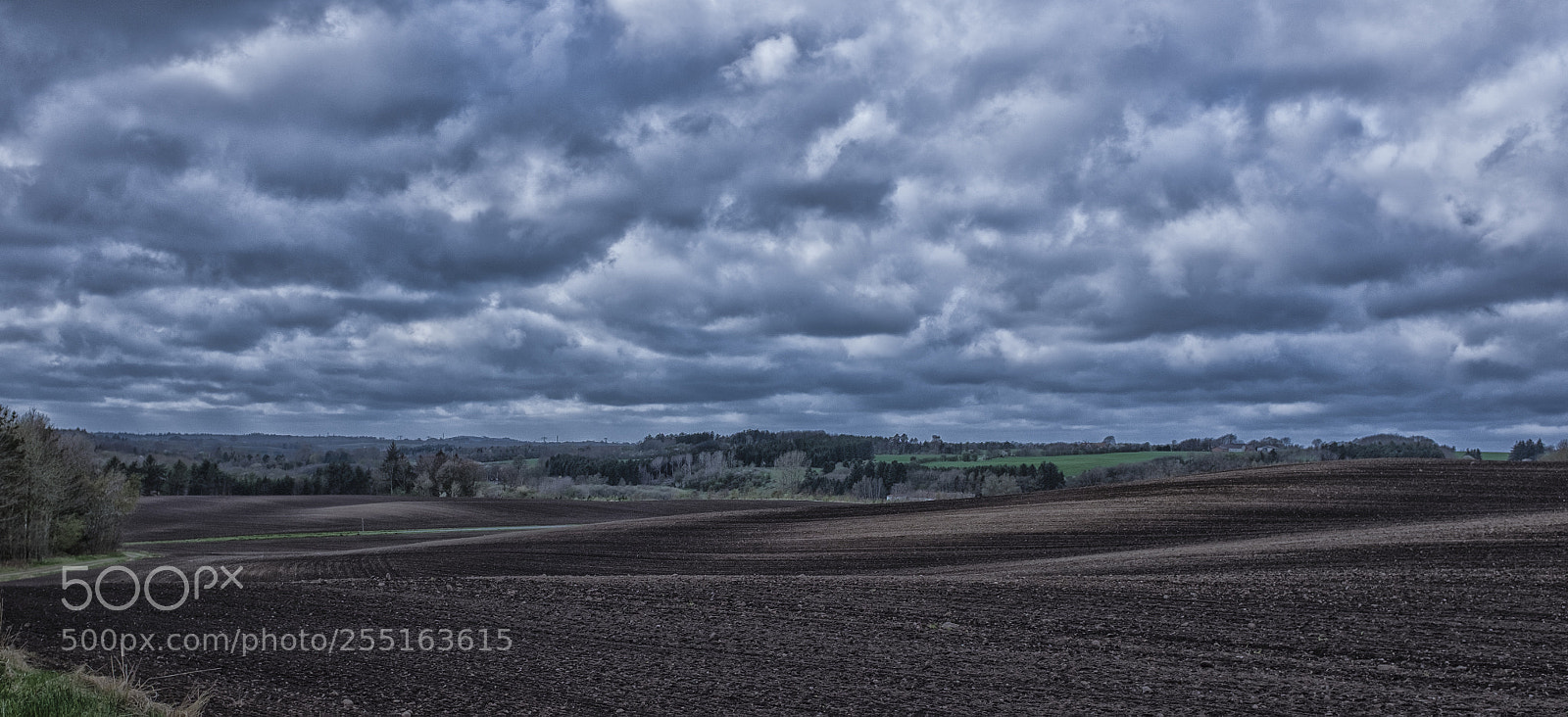 Fujifilm X100S sample photo. Early spring in denmark photography