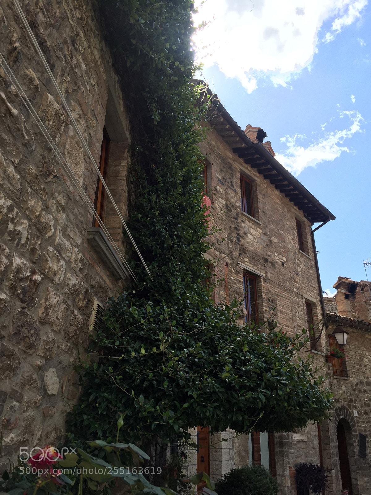 Apple iPhone 6 sample photo. Trip to umbria and photography