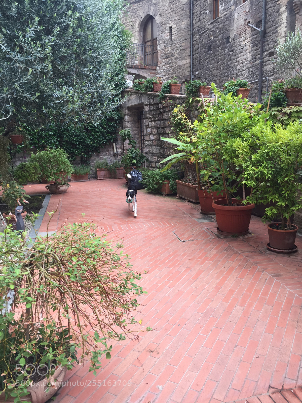 Apple iPhone 6 sample photo. Trip to umbria and photography