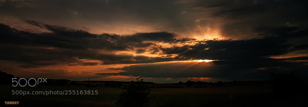 Nikon D300 sample photo. At the end of photography