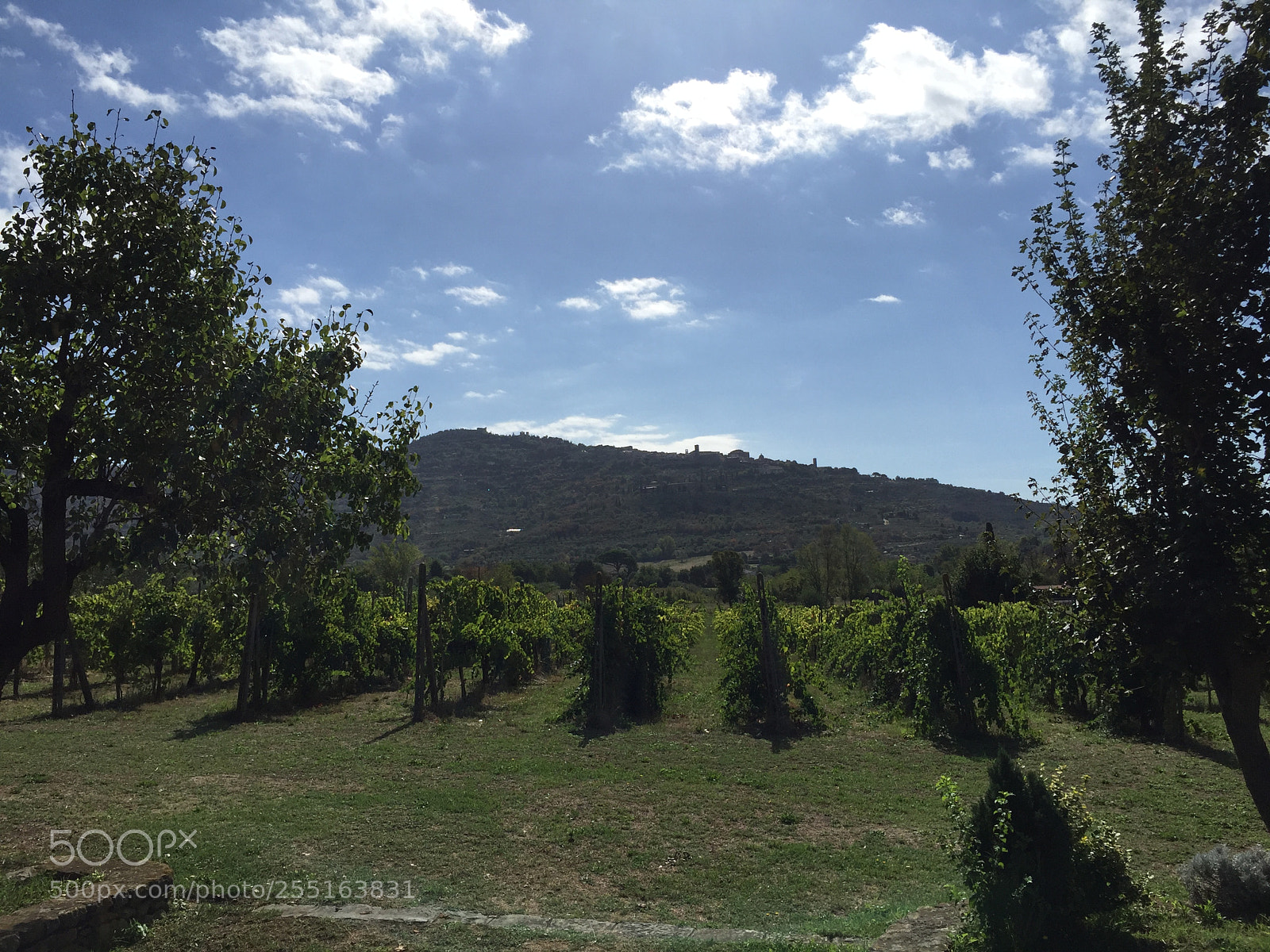 Apple iPhone 6 sample photo. Trip to umbria and photography