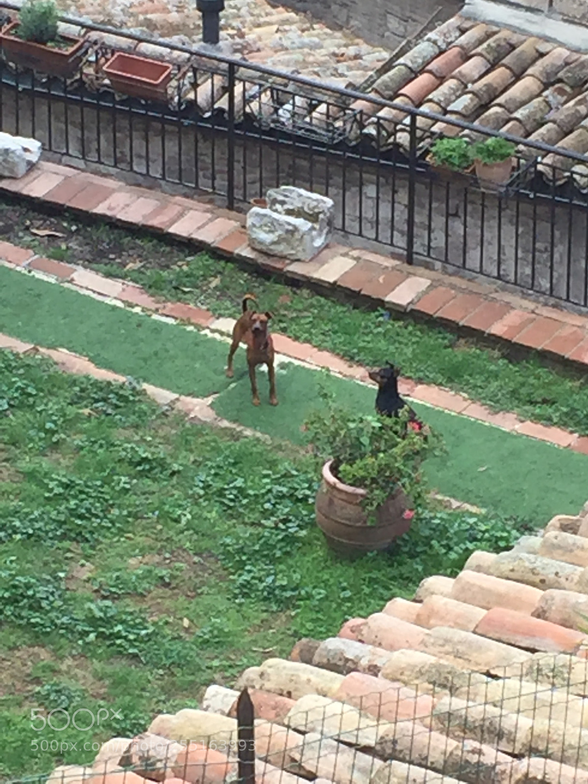 Apple iPhone 6 sample photo. Trip to umbria and photography