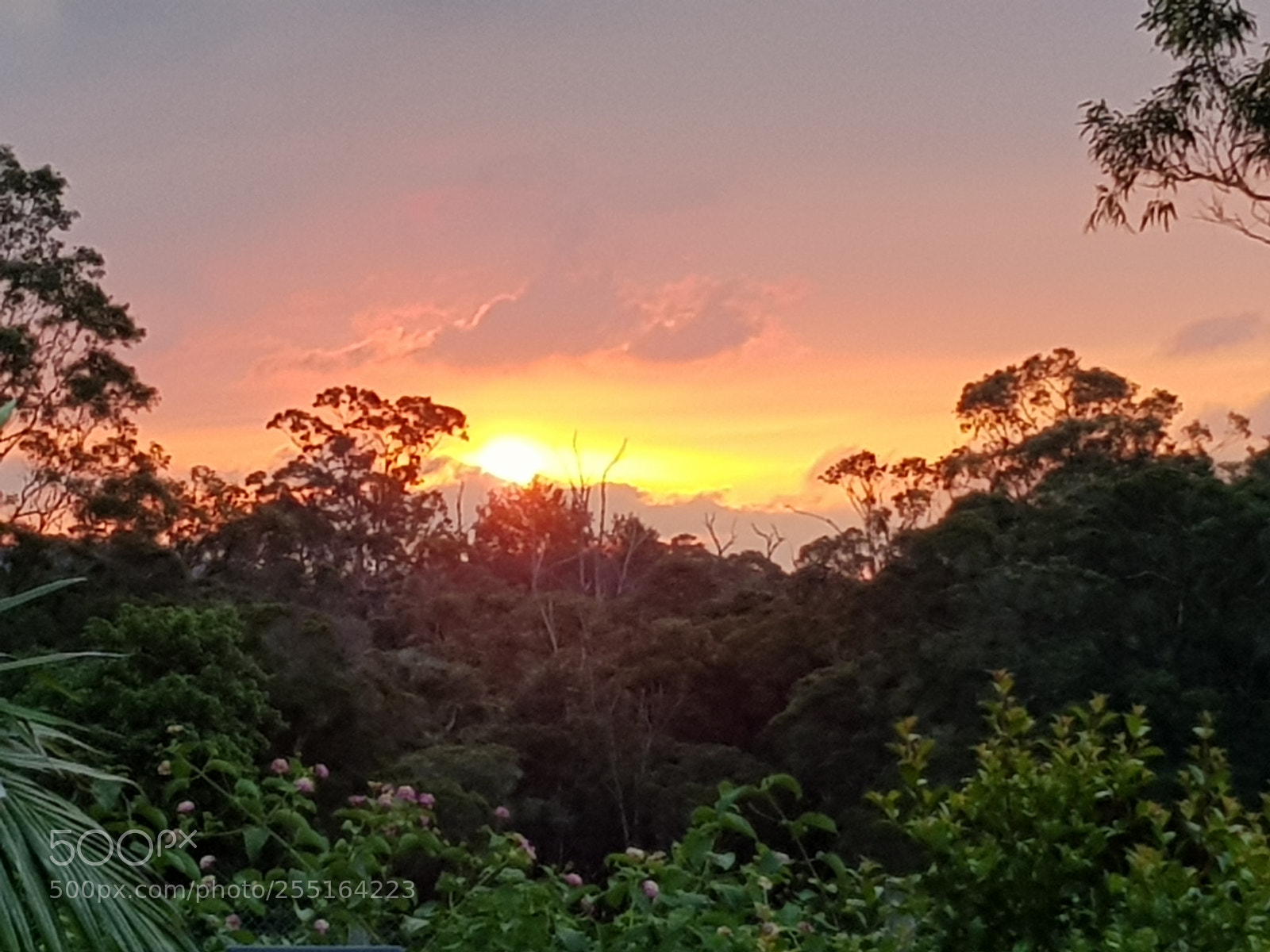 Samsung Galaxy S8 sample photo. Fire in the sky photography