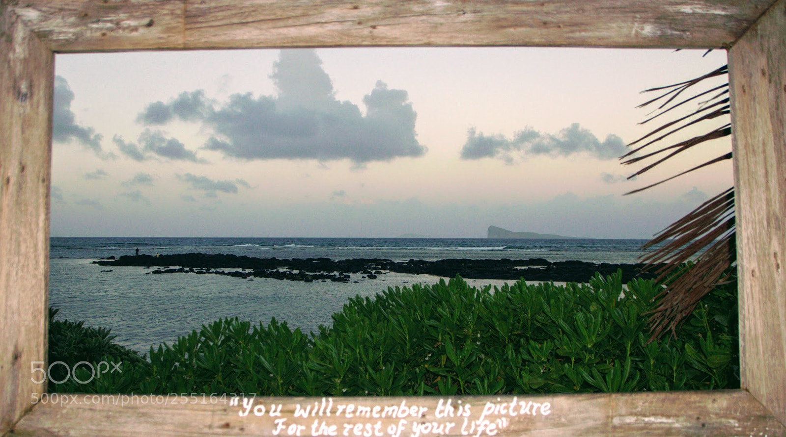 Canon EOS 600D (Rebel EOS T3i / EOS Kiss X5) sample photo. Remembering  photography
