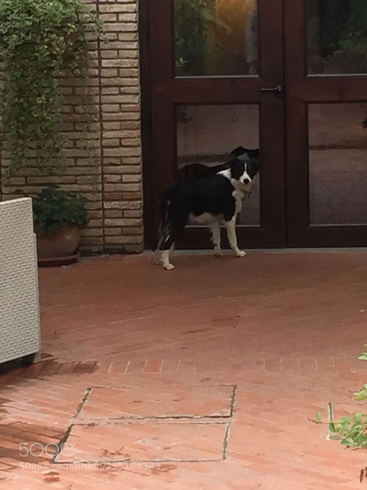Apple iPhone 6 sample photo. Trip to umbria and photography