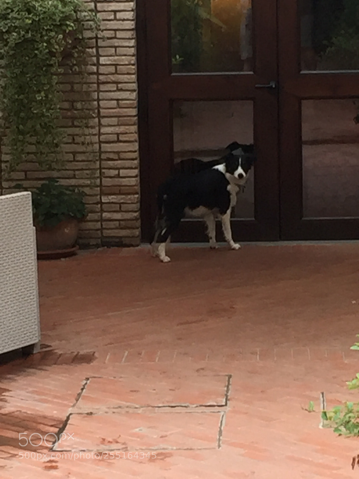 Apple iPhone 6 sample photo. Trip to umbria and photography