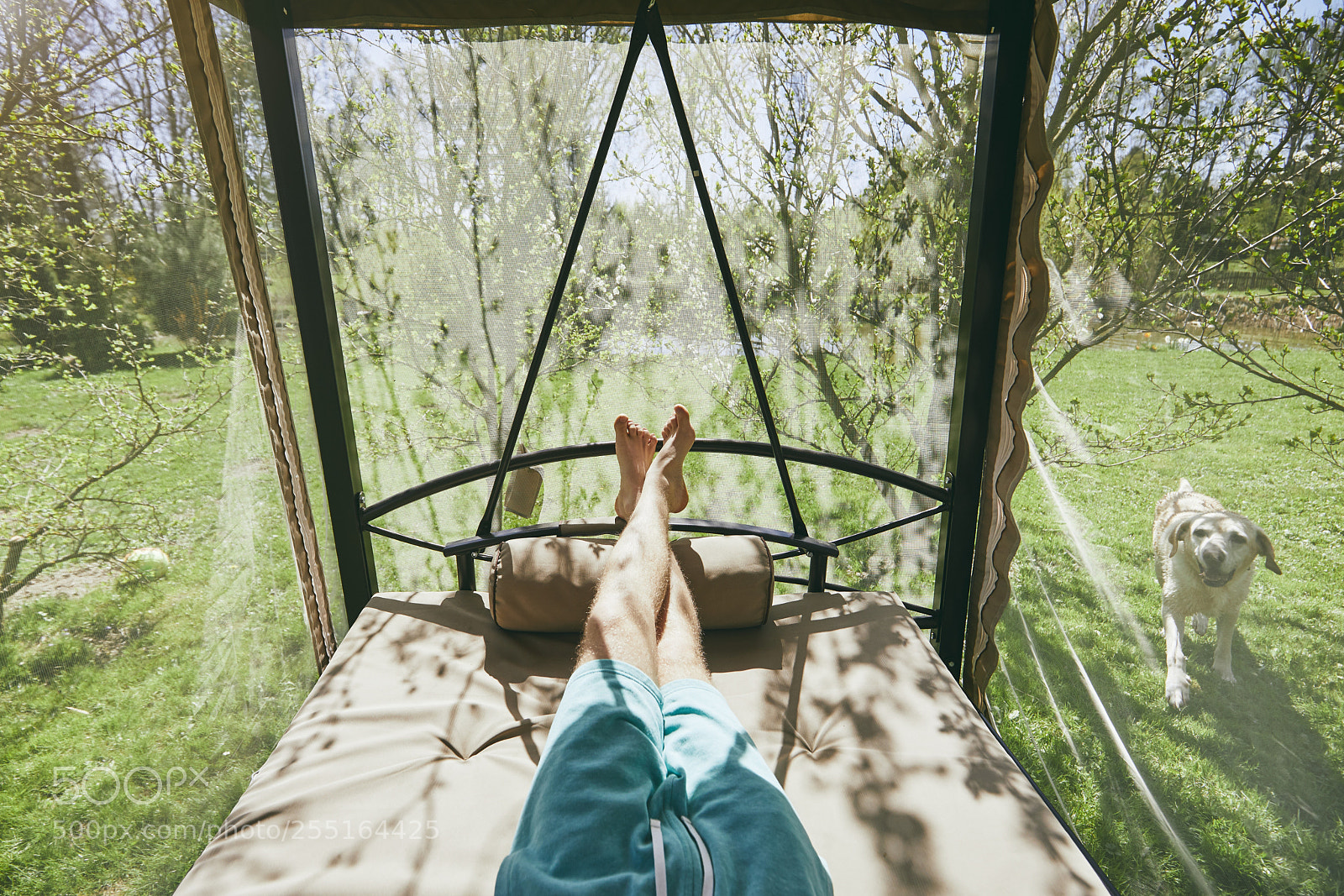 Canon EOS 5D Mark IV sample photo. Legs of the resting photography