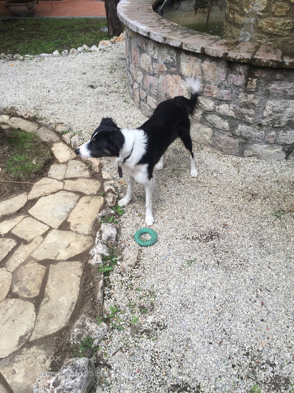 Apple iPhone 6 sample photo. Trip to umbria and photography