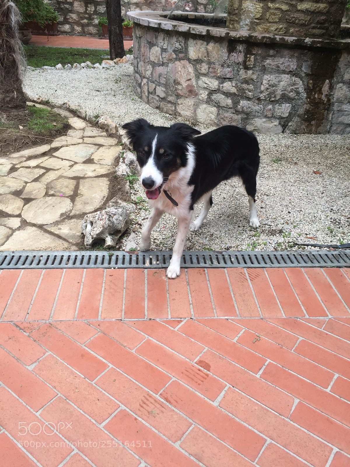Apple iPhone 6 sample photo. Trip to umbria and photography