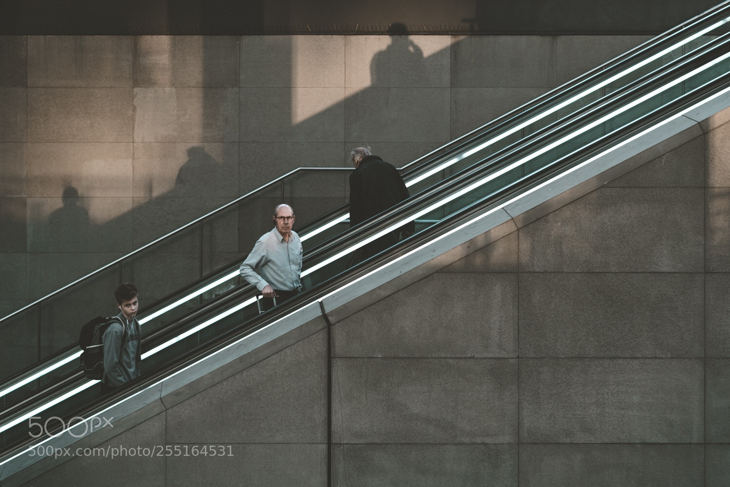 Sony a7R II sample photo. Goin’ up photography