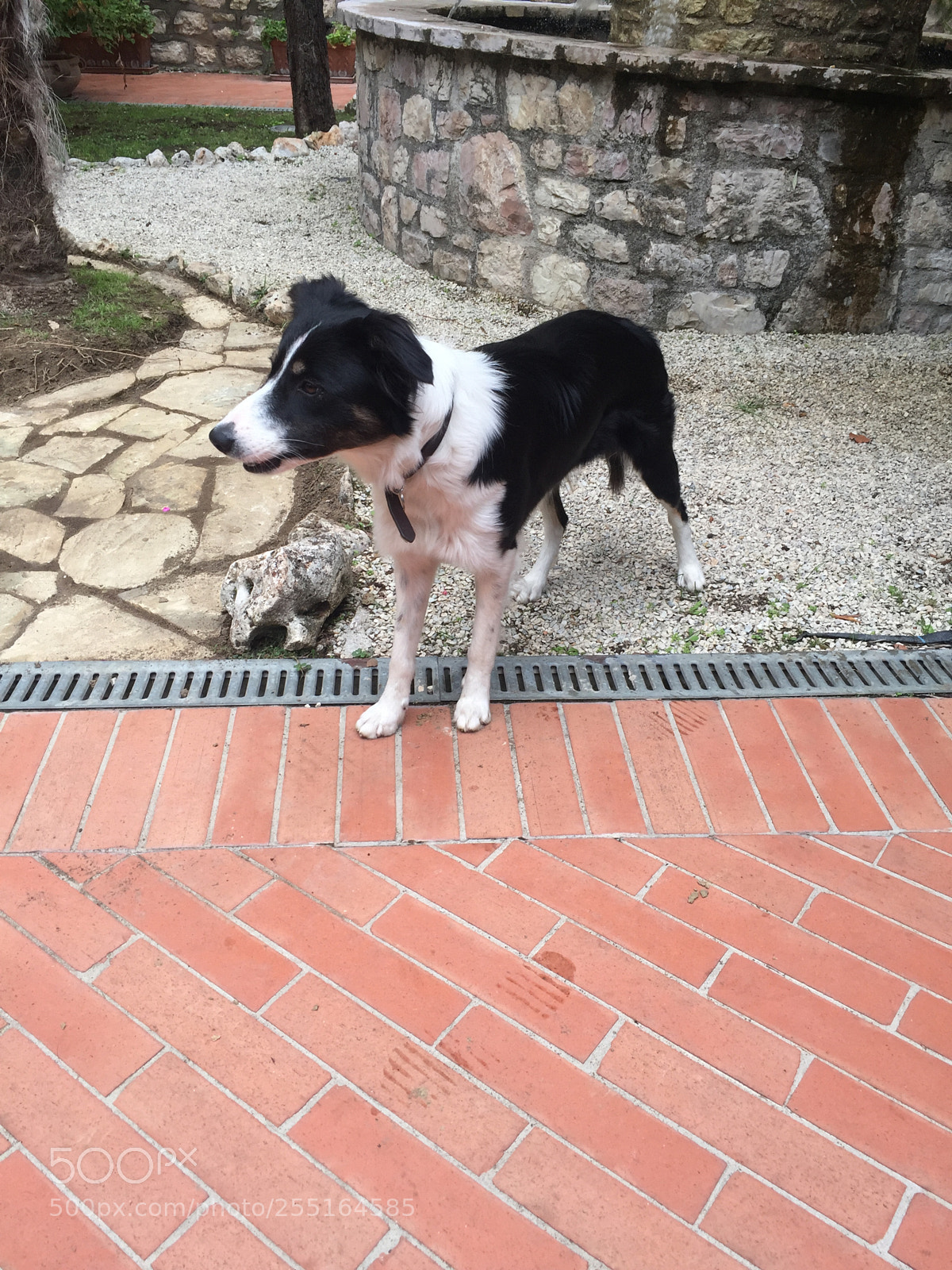 Apple iPhone 6 sample photo. Trip to umbria and photography