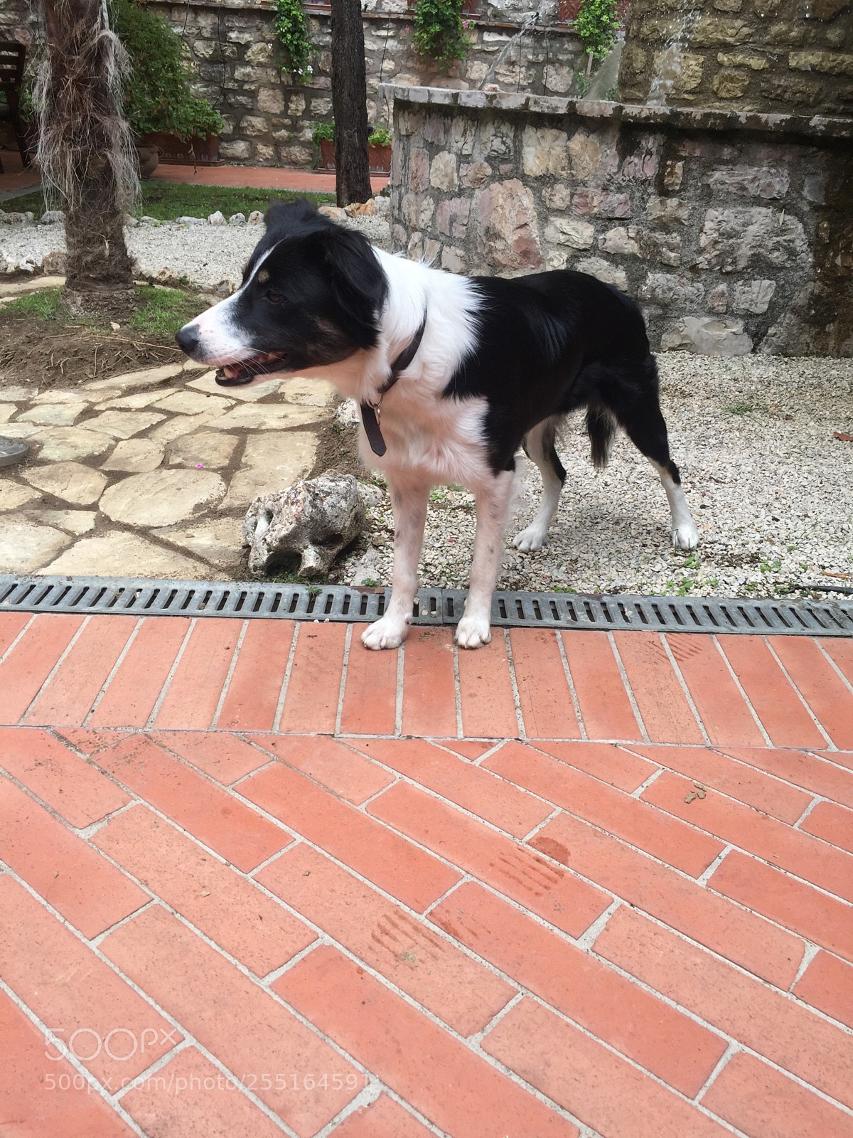 Apple iPhone 6 sample photo. Trip to umbria and photography