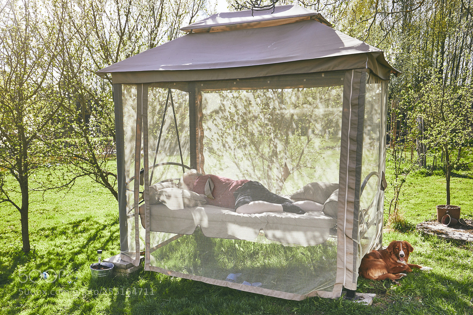 Canon EOS 5D Mark IV sample photo. Man sleeping on the photography