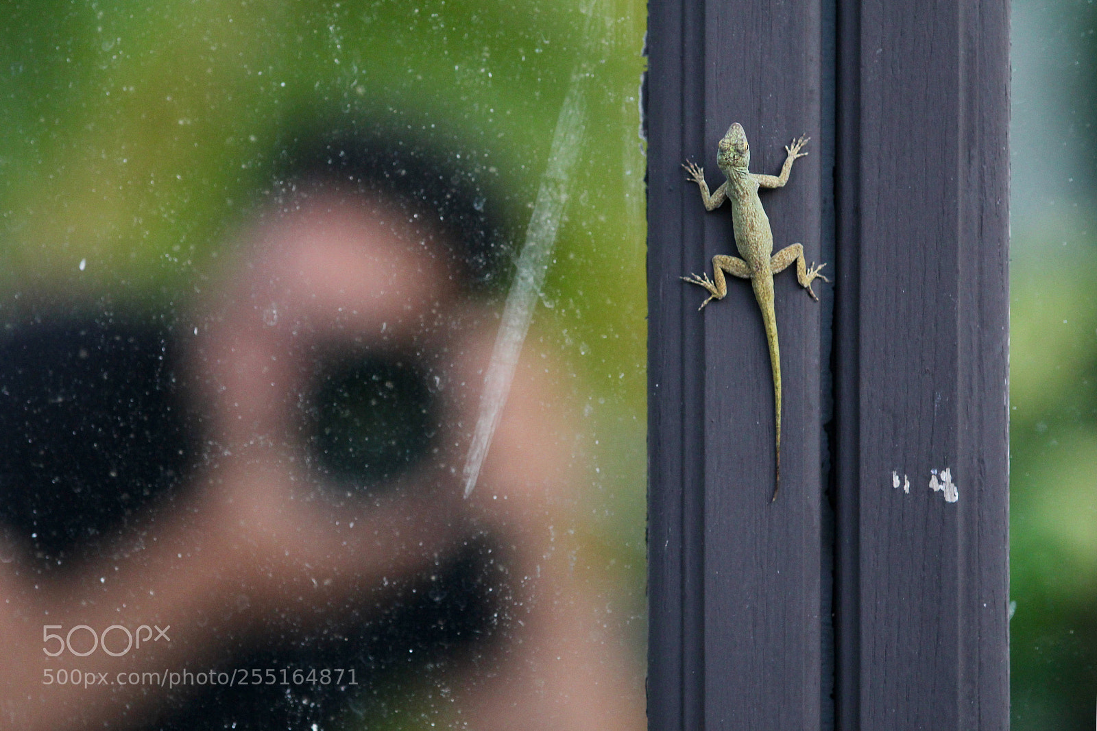 Canon EOS 60D sample photo. Untitled photography
