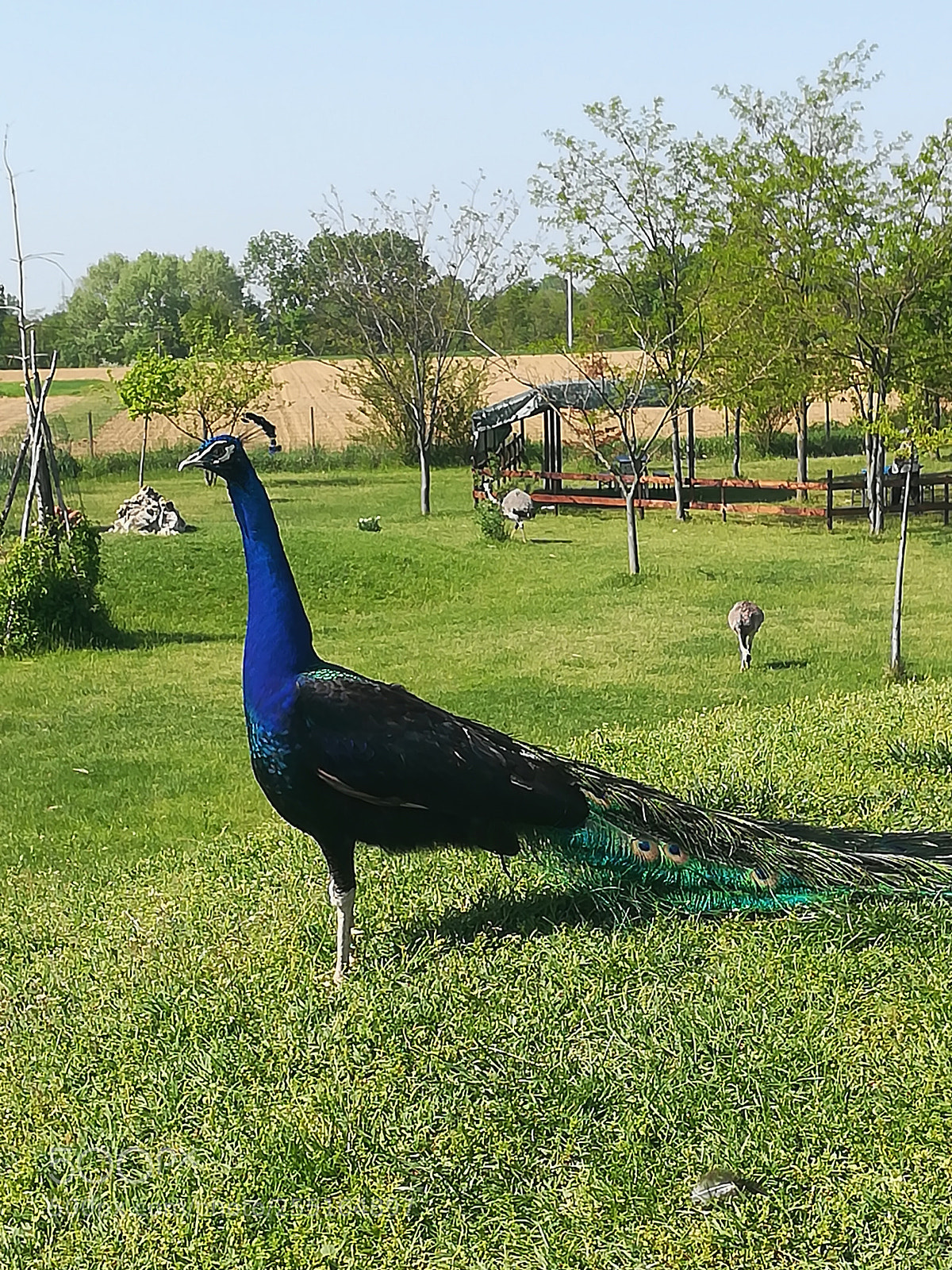 HUAWEI honor 6x sample photo. Astrobiopark photography