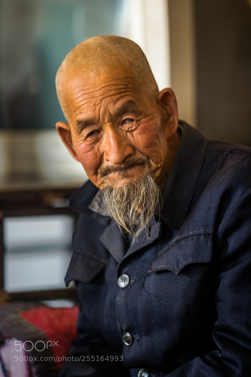 Canon EOS 6D Mark II sample photo. 黄土高坡上的老人 photography