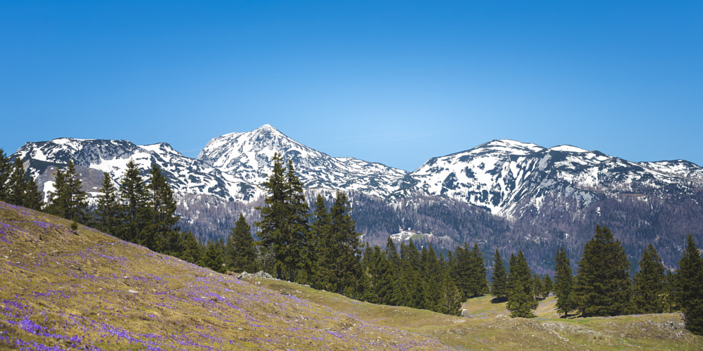 Spring in Mountains by Jure Batagelj on 500px.com