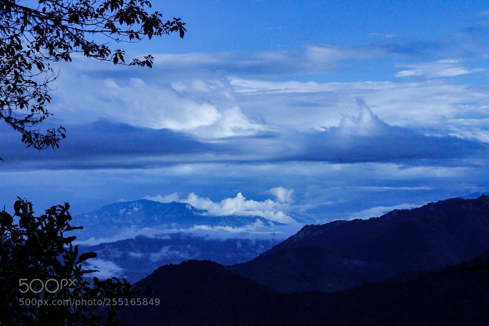 Canon EOS 7D sample photo. Blue morning photography